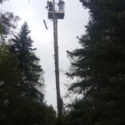 Dwóch pracowników na podnośniku koszowym przy wysokim pniu drzewa, w trakcie usuwania gałęzi, z widocznymi fragmentami odciętych konarów i otaczającymi drzewami iglastymi.