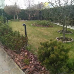 Uporządkowany ogród przydomowy z równo przystrzyżonym trawnikiem, ozdobnymi rabatami z korą, niskimi krzewami iglastymi i oświetleniem ogrodowym.