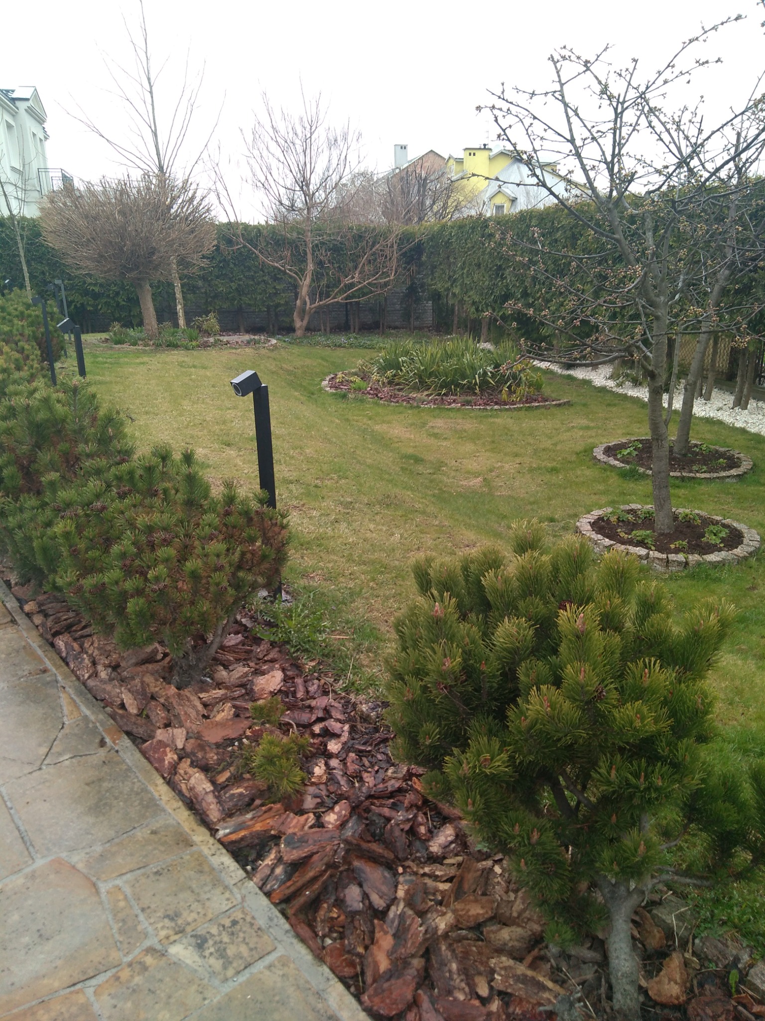 Uporządkowany ogród przydomowy z równo przystrzyżonym trawnikiem, ozdobnymi rabatami z korą, niskimi krzewami iglastymi i oświetleniem ogrodowym.