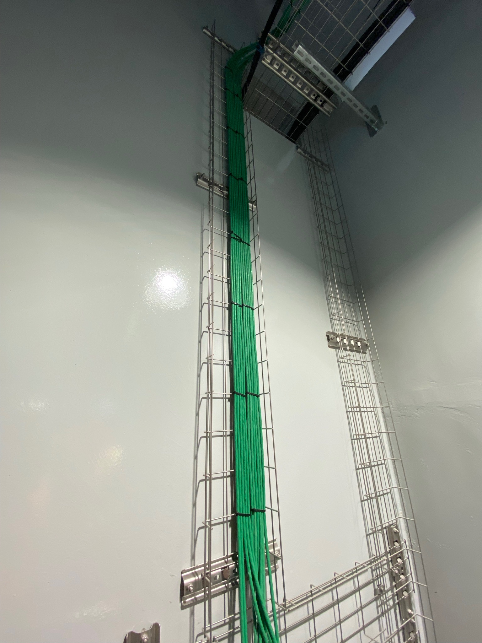 Pionowy układ zielonych kabli sieci LAN prowadzonych w metalowej korycie siatkowej, przymocowanej do ściany w pomieszczeniu o jasnych ścianach.