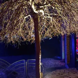 Oświetlony ozdobny krzew oświetlony od dołu reflektorem, widoczne kamienne podłoże i ogrodzenie w tle, nocna sceneria.