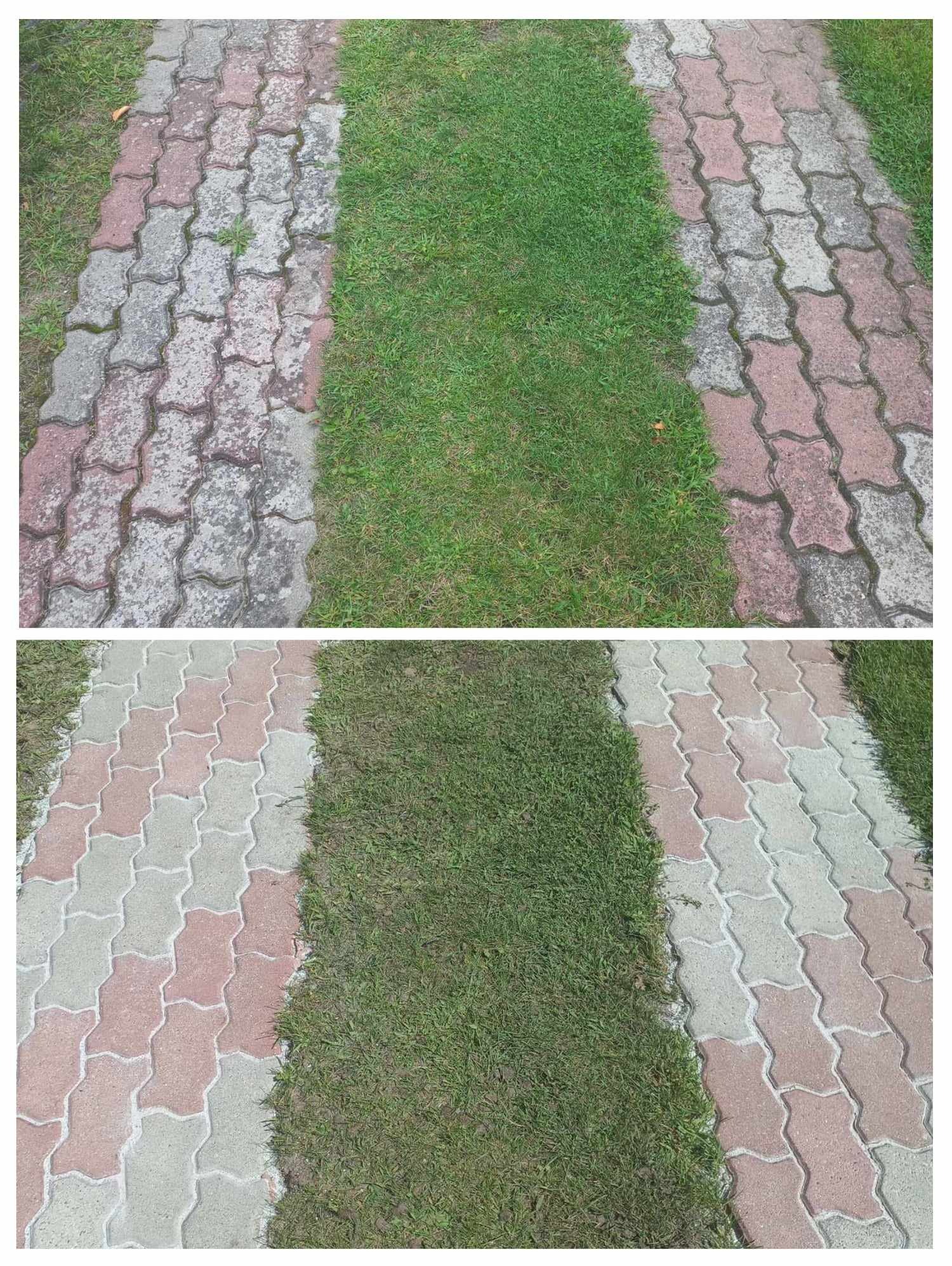 Porównanie kostki brukowej przed i po czyszczeniu: górna część zdjęcia przedstawia zabrudzoną kostkę, dolna - wyczyszczoną i zaimpregnowaną, z widocznym efektem hydrofobowym i świeżo zaspoinowaną...