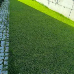 Widok z góry na świeżo założony trawnik przylegający do ścieżki z kostki granitowej i betonowego muru z cieniami drzew.