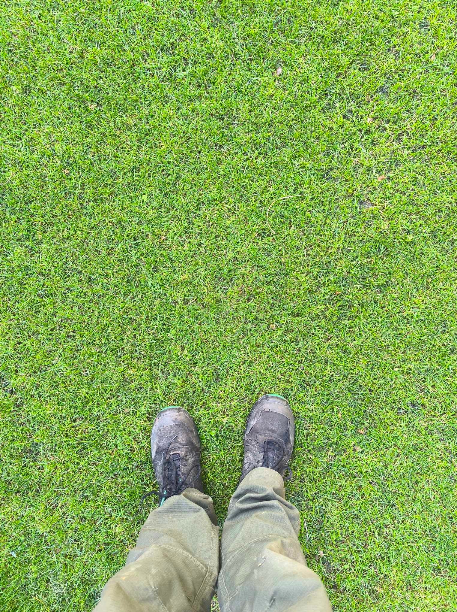 Widok z góry na parę zabrudzonych butów trekkingowych stojących na gęstej, zielonej trawie.