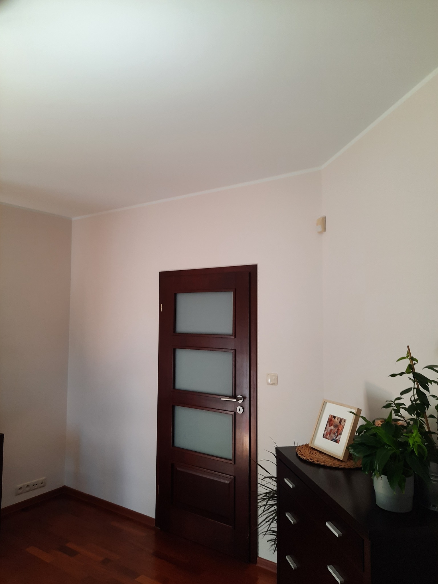 Wnętrze pokoju z drewnianą podłogą, kremowymi ścianami i ciemnymi drzwiami z trzema szybami, obok komoda z ramką ze zdjęciem i doniczką z zieloną rośliną.