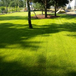 Zakładanie ogrodów Aleksandrów Łódzki 1