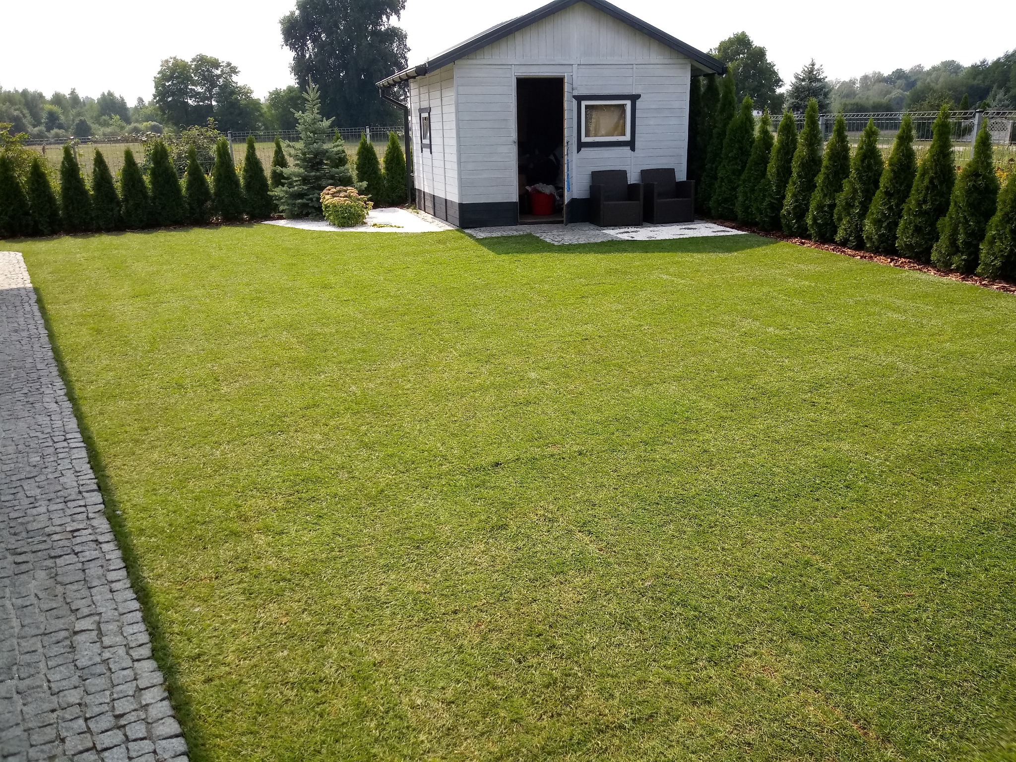 Rozległy, zielony trawnik z domkiem narzędziowym w tle, obrzeża z kamienia i rząd tuj wzdłuż ogrodzenia.