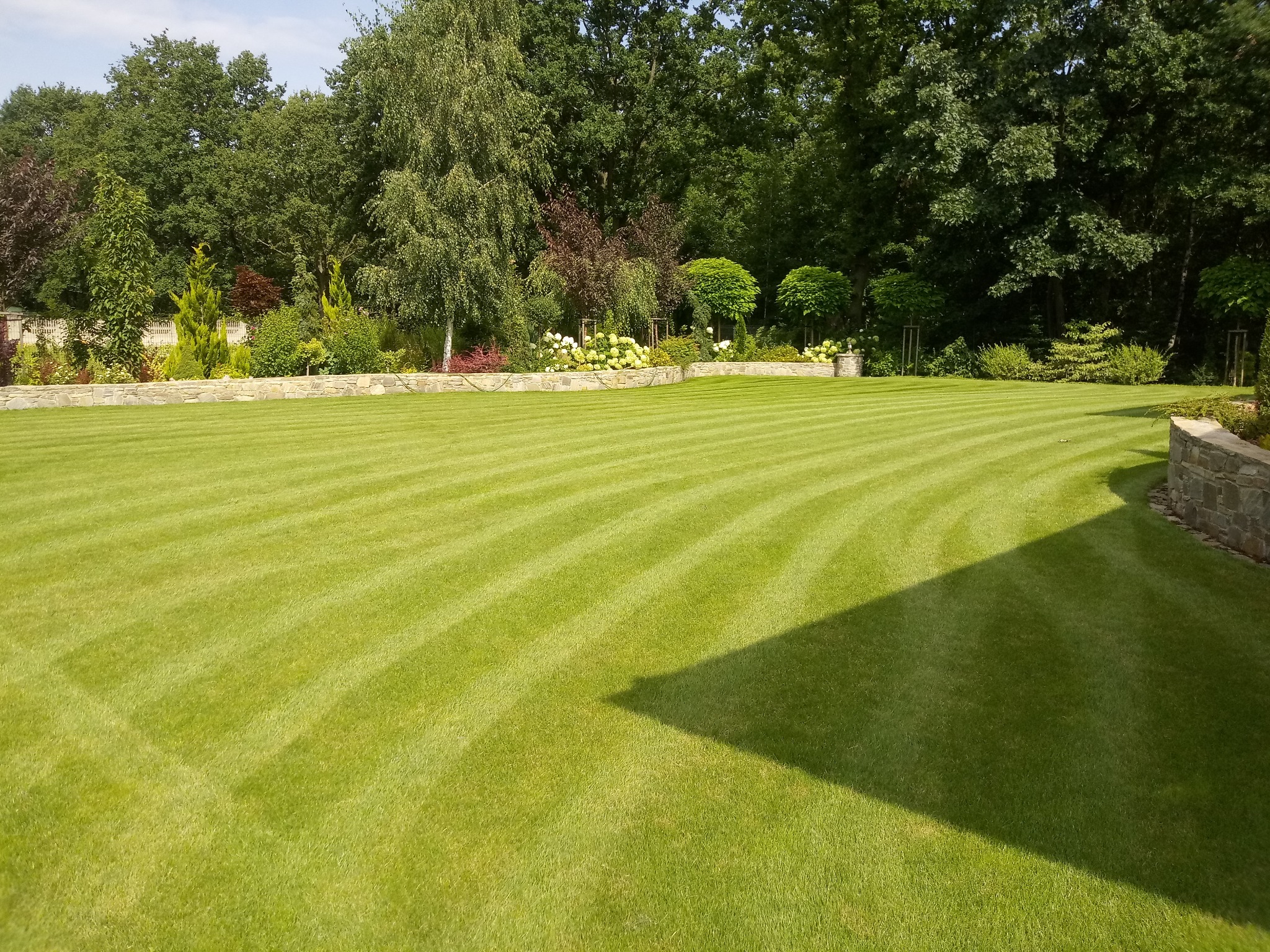 Perfekcyjnie przystrzyżony trawnik z wyraźnymi pasami, otoczony kamiennym murkiem i różnorodną roślinnością ogrodową, w tle wysokie drzewa.
