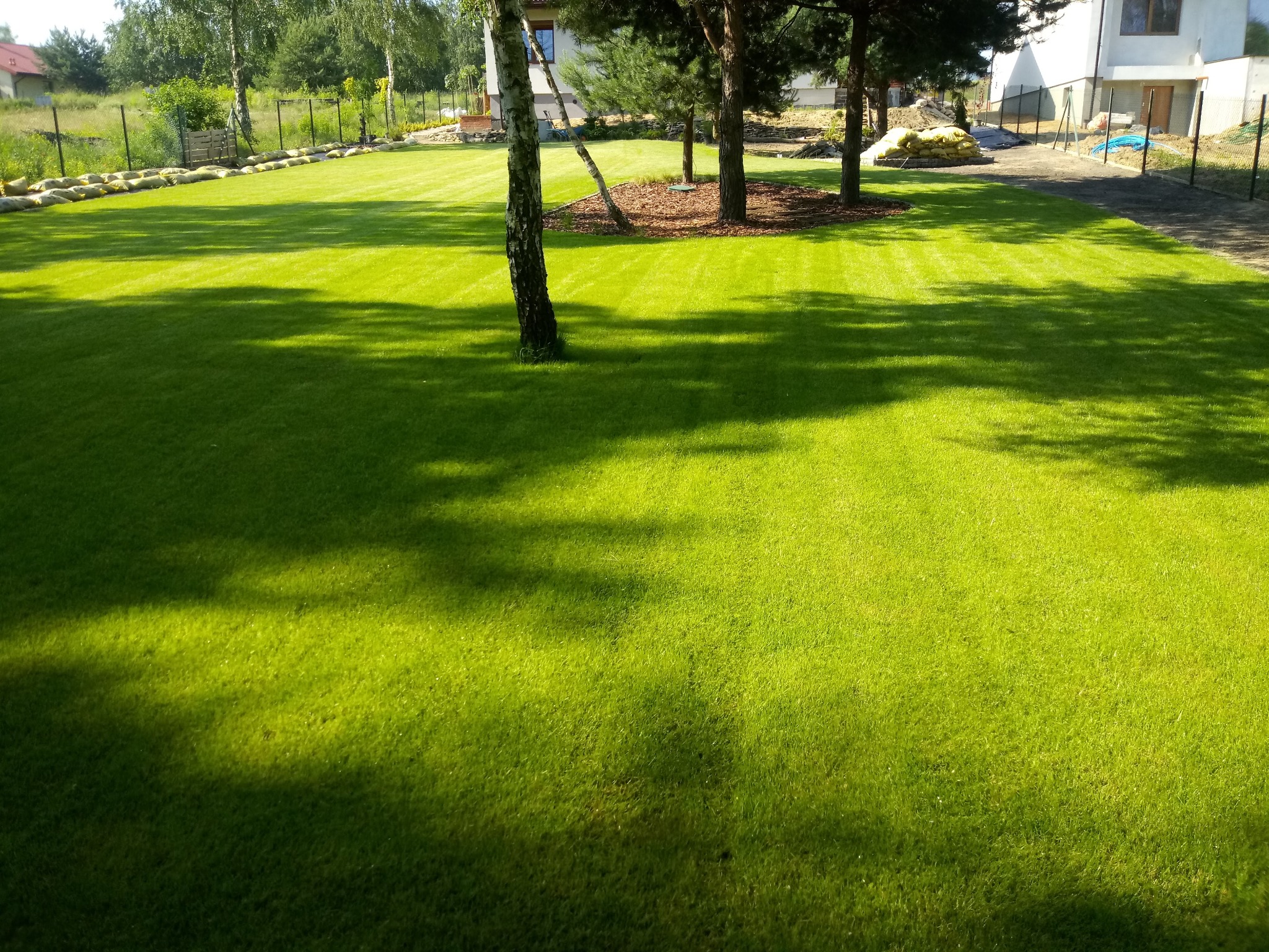 Rozległy trawnik z rolki, świeżo rozłożony, z widocznymi pasami po wałowaniu, otoczony drzewami, w tle budynek mieszkalny i worki z ziemią.