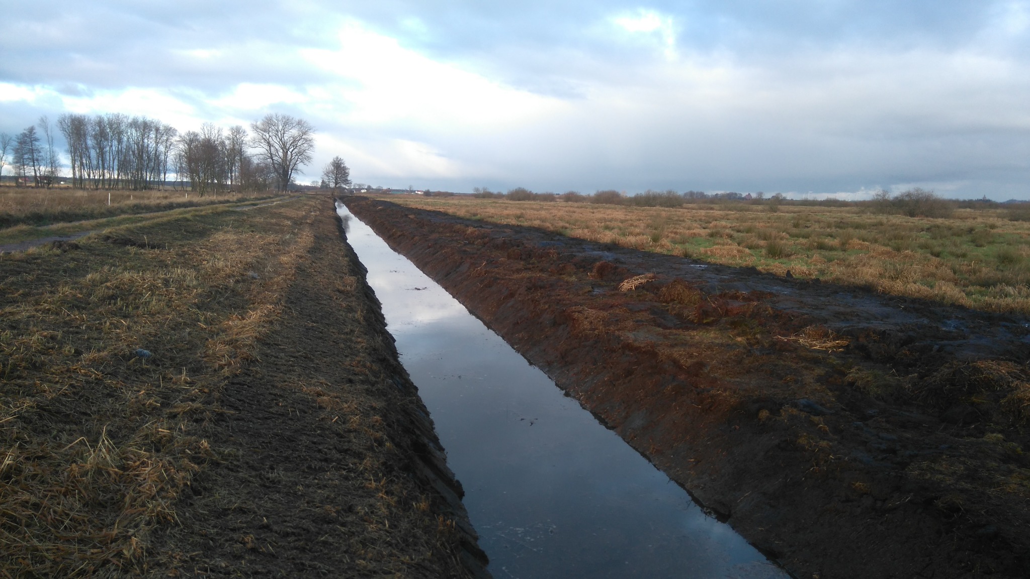 Długi, prosty rów melioracyjny wypełniony wodą, biegnący przez podmokłe pole w pochmurny dzień. W oddali widoczne drzewa i zabudowania.