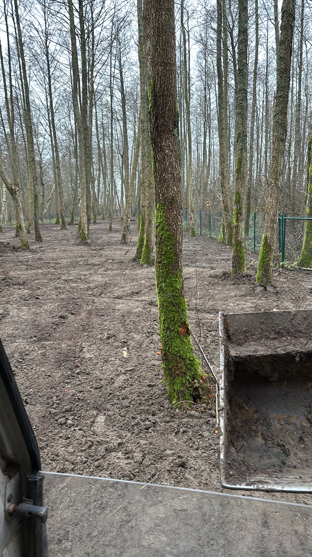 Przygotowany teren pod zakładanie ogrodu, widoczne drzewa z mchem, rozkopana ziemia i fragment łyżki koparki.