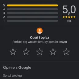 Zrzut ekranu podsumowania opinii w Google dla agencji interaktywnej 'Pani od Reklamy', z oceną 5.0 na 5 gwiazdek i pozytywną opinią klientki dotyczącą logo.