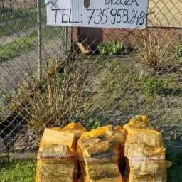 Worki z pociętym drewnem kominkowym brzozowym, ustawione na trawie przed siatką ogrodzeniową, na której wisi kartka z napisem 'Drzewo kominkowe! Brzoza TEL: 735 958 248'.