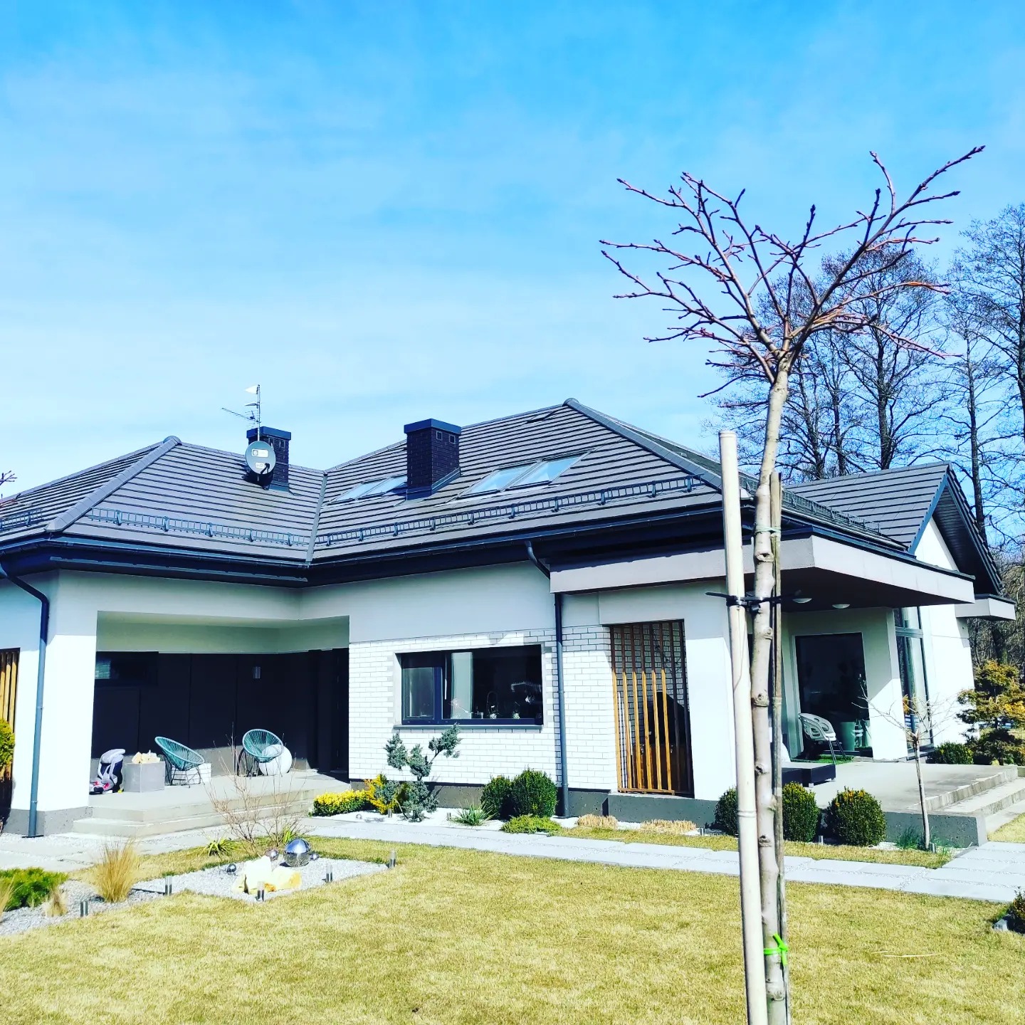 Nowoczesny dom jednorodzinny z szarą dachówką i białymi ścianami, widok z ogrodu w słoneczny dzień, z młodym drzewkiem na pierwszym planie.