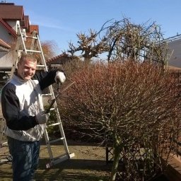 Pielęgnacja ogrodów Warszawa 1