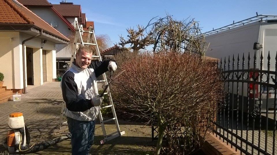 Uśmiechnięty mężczyzna w rękawicach przycina krzew ozdobny nożycami na tle drabiny, domu i zaparkowanego busa.