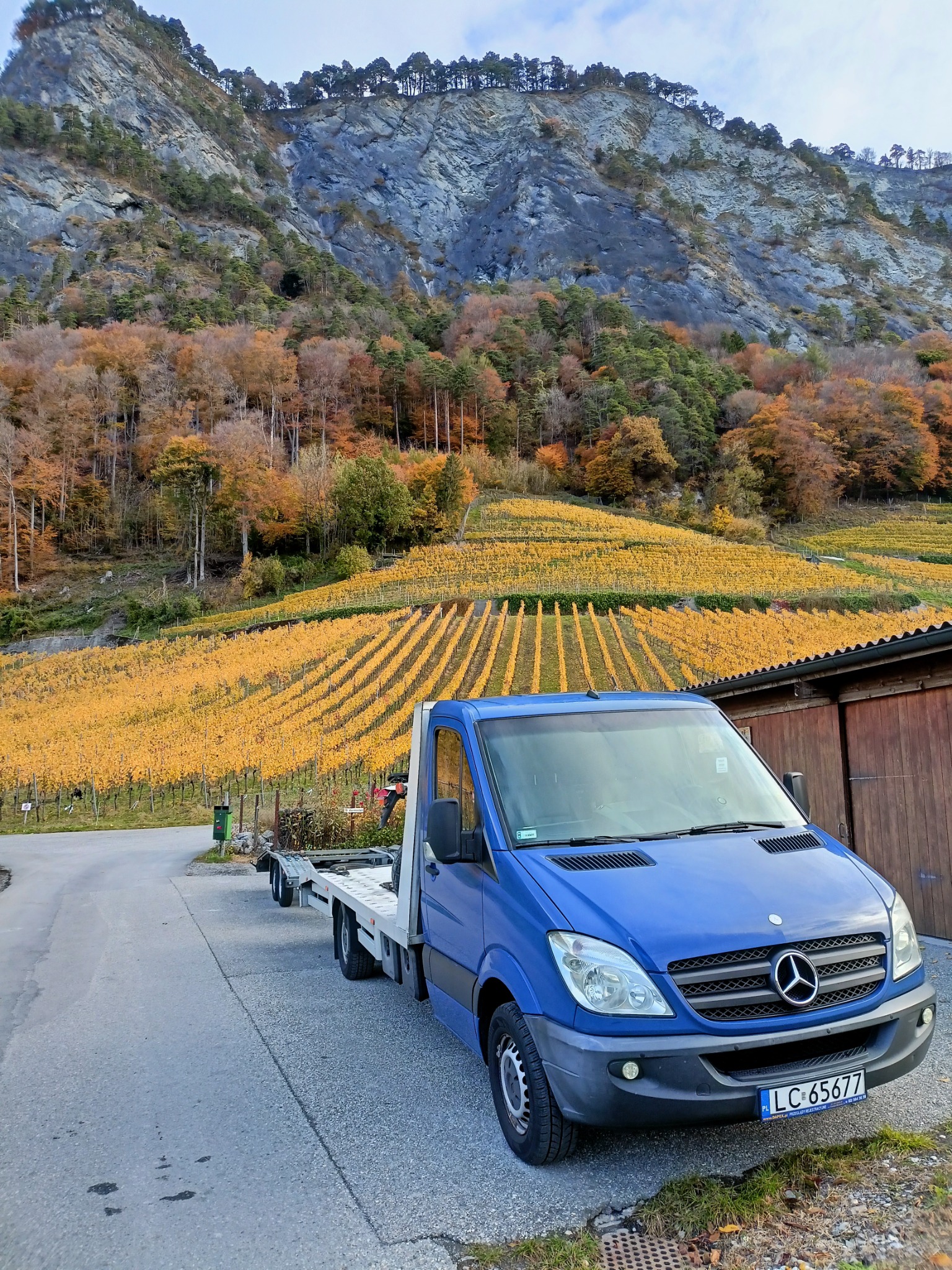 Niebieski samochód dostawczy z platformą lawety, zaparkowany na tle malowniczego krajobrazu z winnicami w jesiennej kolorystyce i skalistej góry.