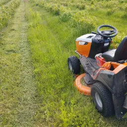 Traktorek do koszenia trawy marki Stihl w trakcie pracy w Lipsku, widoczny pas świeżo skoszonej trawy wzdłuż rzędów krzewów.