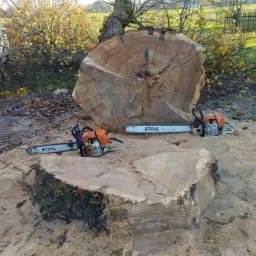 Dwa pnie po ściętych drzewach, otoczone wiórami, z dwiema spalinowymi pilarkami łańcuchowymi marki Stihl leżącymi na nich.