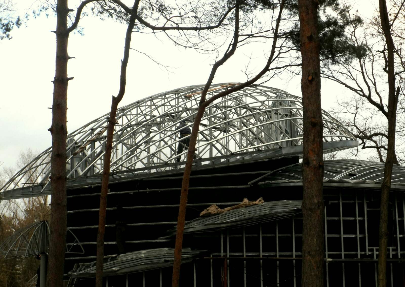 Konstrukcja kopuły z metalowych elementów na budynku w trakcie budowy, widoczna przez pnie drzew