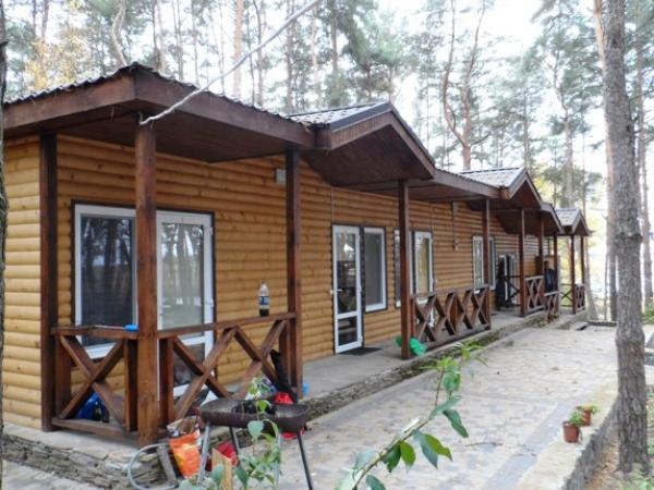 Szereg drewnianych domków letniskowych z werandami w Warszawie, widok z zewnątrz, otoczone drzewami.