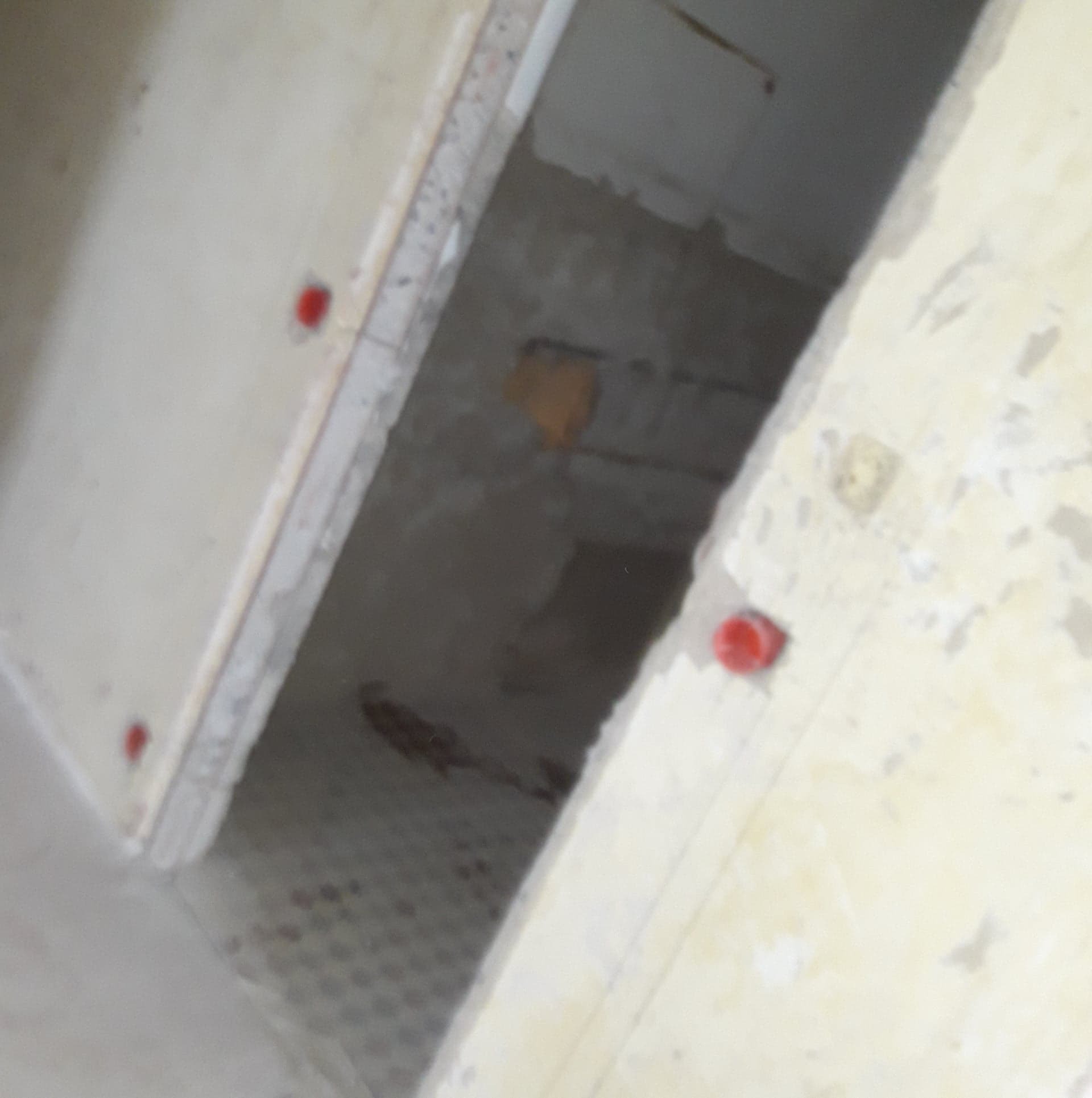 Niedokończone wnętrze w trakcie remontu, widoczne wystające kable w czerwonych osłonach na ścianie i fragment podłogi z mozaiką.