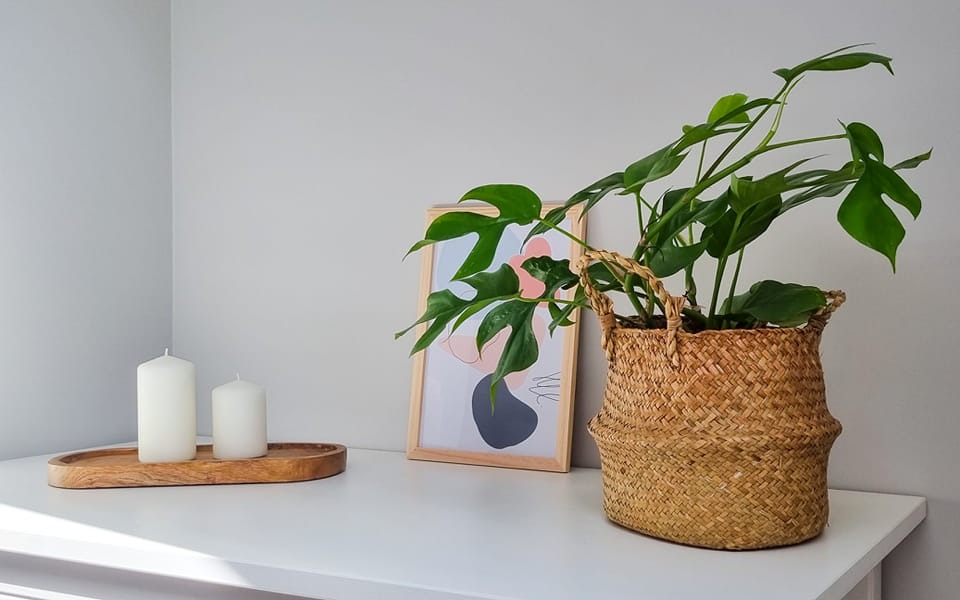 Minimalistyczna aranżacja wnętrza: Monstera w plecionym koszu, abstrakcyjny obraz w ramie i dwie białe świece na drewnianej tacy na białej komodzie.