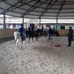 Stadniny i jazda konna Warszawa 2
