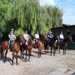 Stadniny i jazda konna Warszawa 1