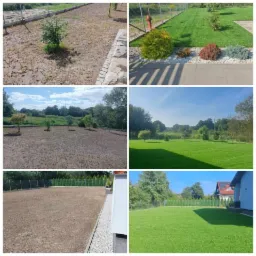 Kompozycja sześciu zdjęć prezentujących transformację terenu: od przygotowanego podłoża i ziemi po bujny, zielony trawnik. Widoczne etapy zakładania trawnika, z uwzględnieniem różnych technik...