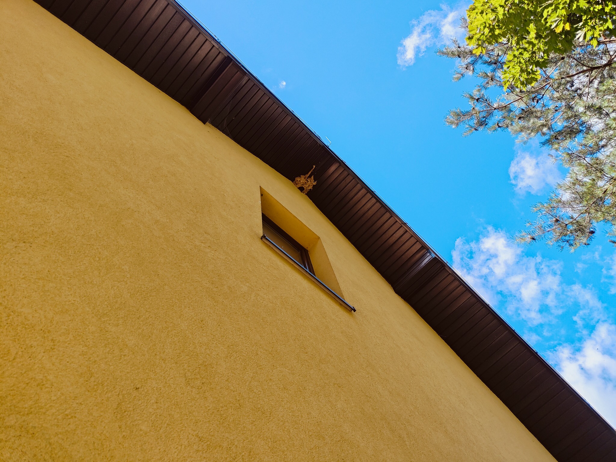 Żółta elewacja budynku z brązowym podsufitką i małym oknem, widziana pod kątem z dołu w słoneczny dzień, z fragmentem drzewa i błękitnym niebem w tle.