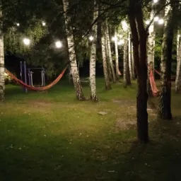 Oświetlony park nocą z rzędem brzóz, pomiędzy którymi zawieszone są hamaki, a na drzewach wiszą dekoracyjne żarówki.