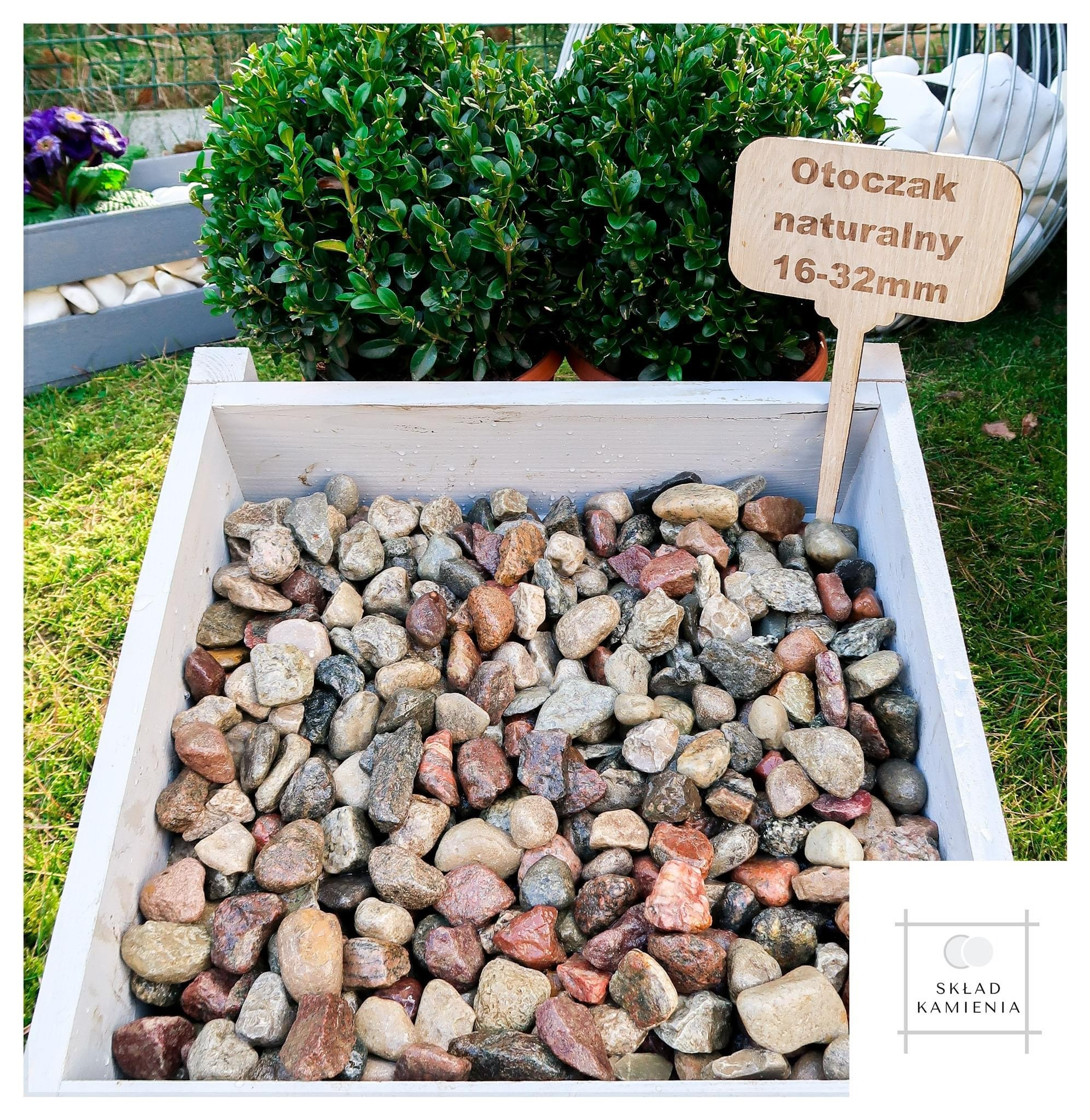 Naturalne otoczaki o frakcji 16-32 mm w białej, drewnianej skrzyni, z drewnianą tabliczką informacyjną i zielonymi krzewami w tle.
