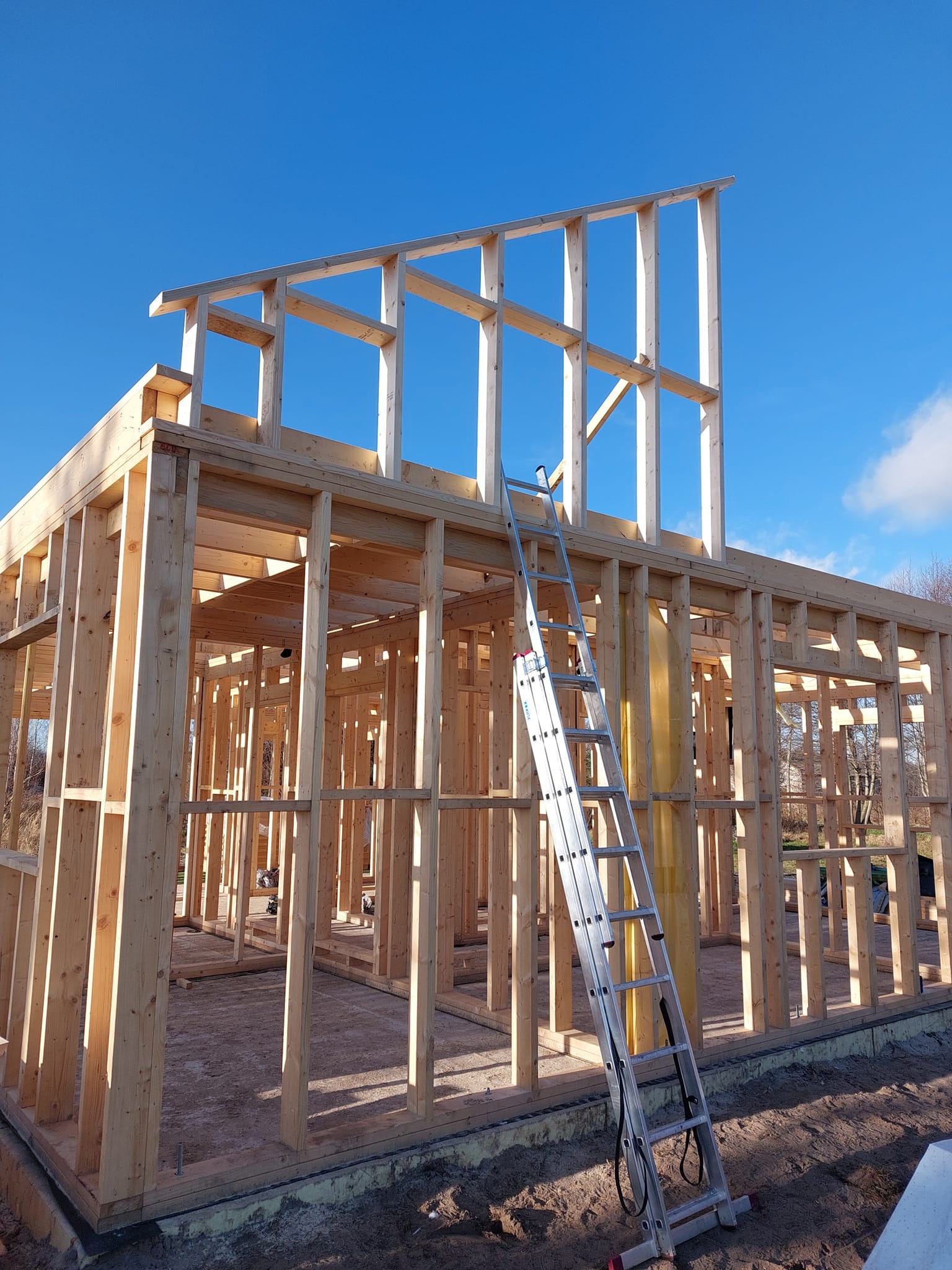 Konstrukcja szkieletowa domu w trakcie budowy, widoczna aluminiowa drabina oparta o ścianę, błękitne niebo w tle.