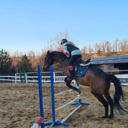 Stadniny i jazda konna Szczytna 2