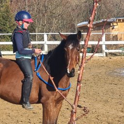 Stadniny i jazda konna Szczytna 3