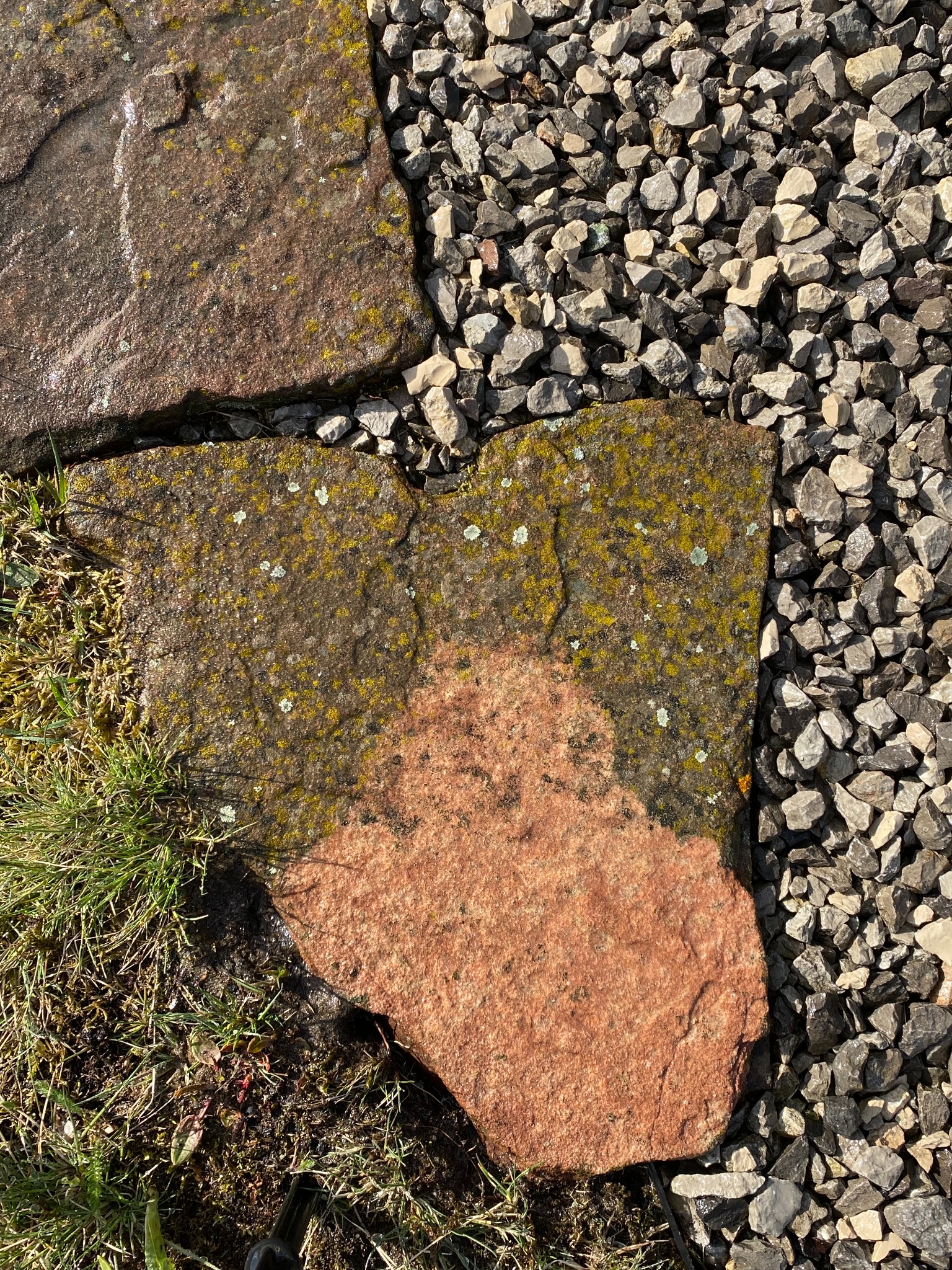 Fragment ścieżki ogrodowej z nieregularnych płyt kamiennych częściowo pokrytych mchem i porostami, otoczonych szarym żwirem i kępami trawy.