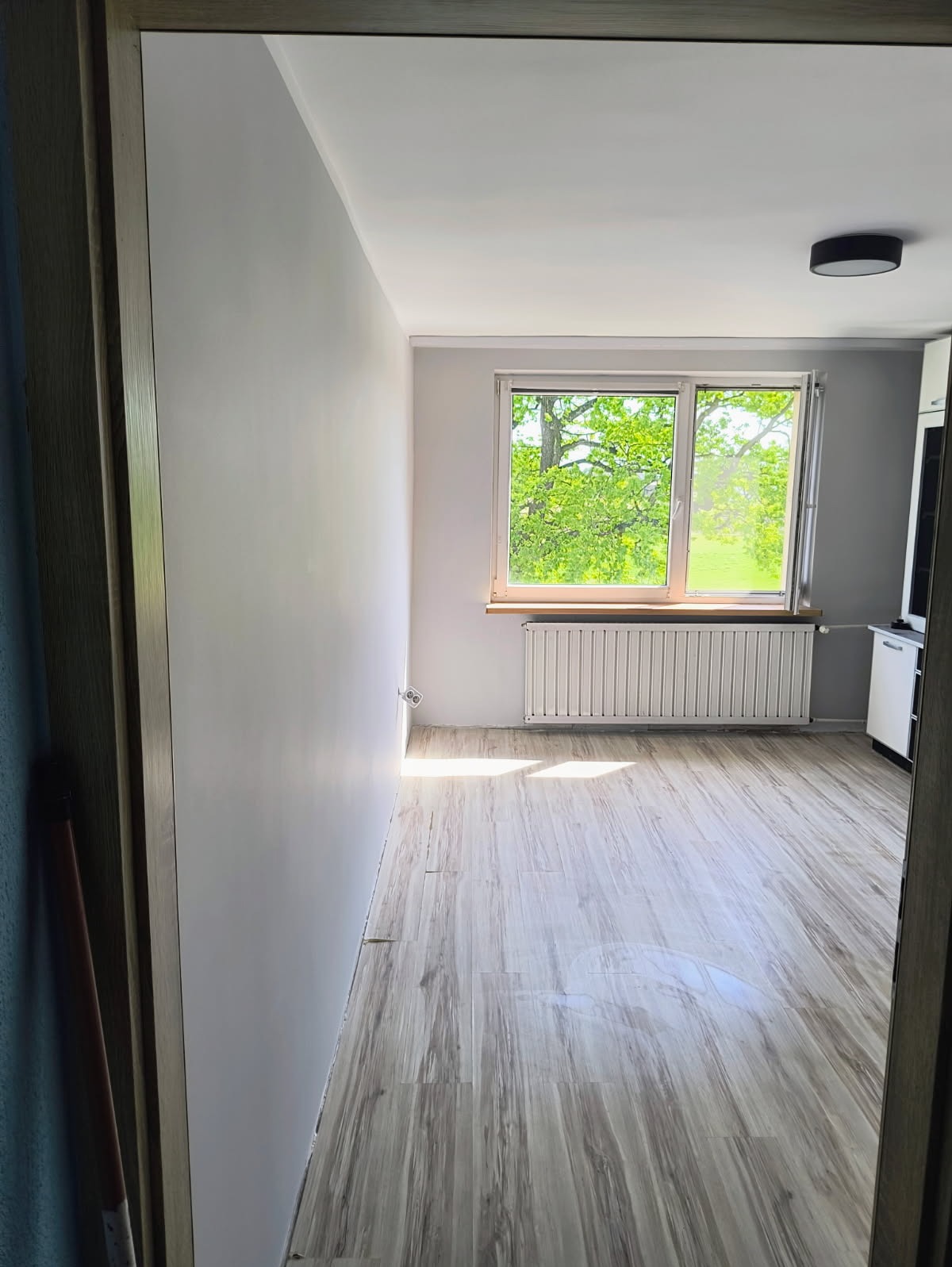 Jasne wnętrze po remoncie: gładkie, szare ściany, panele podłogowe imitujące drewno i okno z widokiem na zieleń. Minimalistyczny design i świeżość.