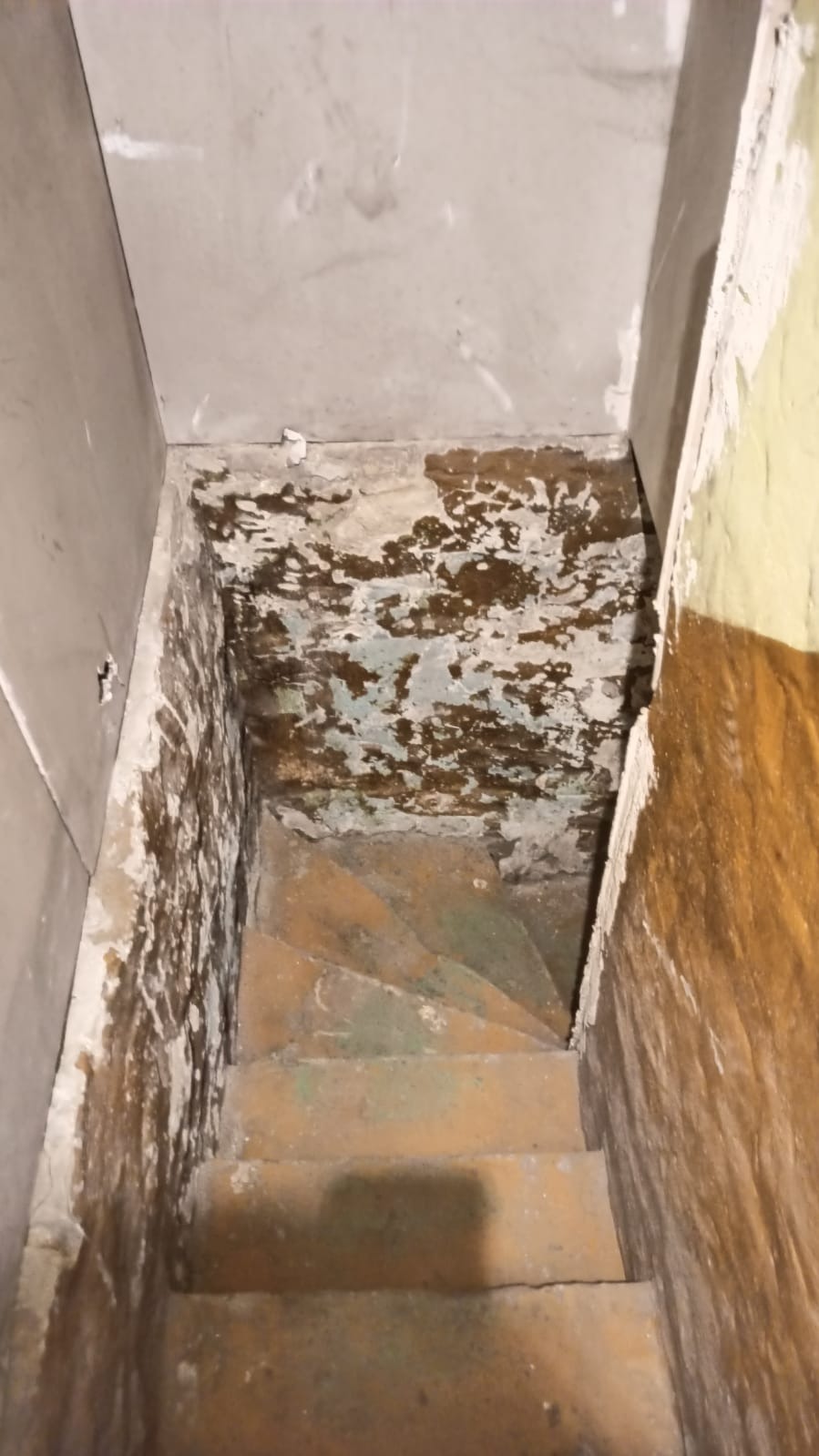 Schody w piwnicy przed remontem. Widoczne stare tynki i ślady wilgoci na ścianach. Częściowo usunięte stare warstwy wykończeniowe.