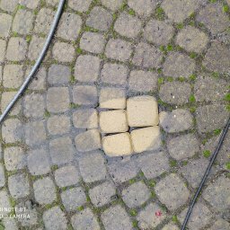 Ostre Cięcie - Fragment chodnika z kostki brukowej, z widocznym obszarem świeżo ułożonych, jasnych kostek w centralnej części, otoczonych starszymi, wilgotnymi i porośniętymi mchem kostkami. W tle widoczne węże...