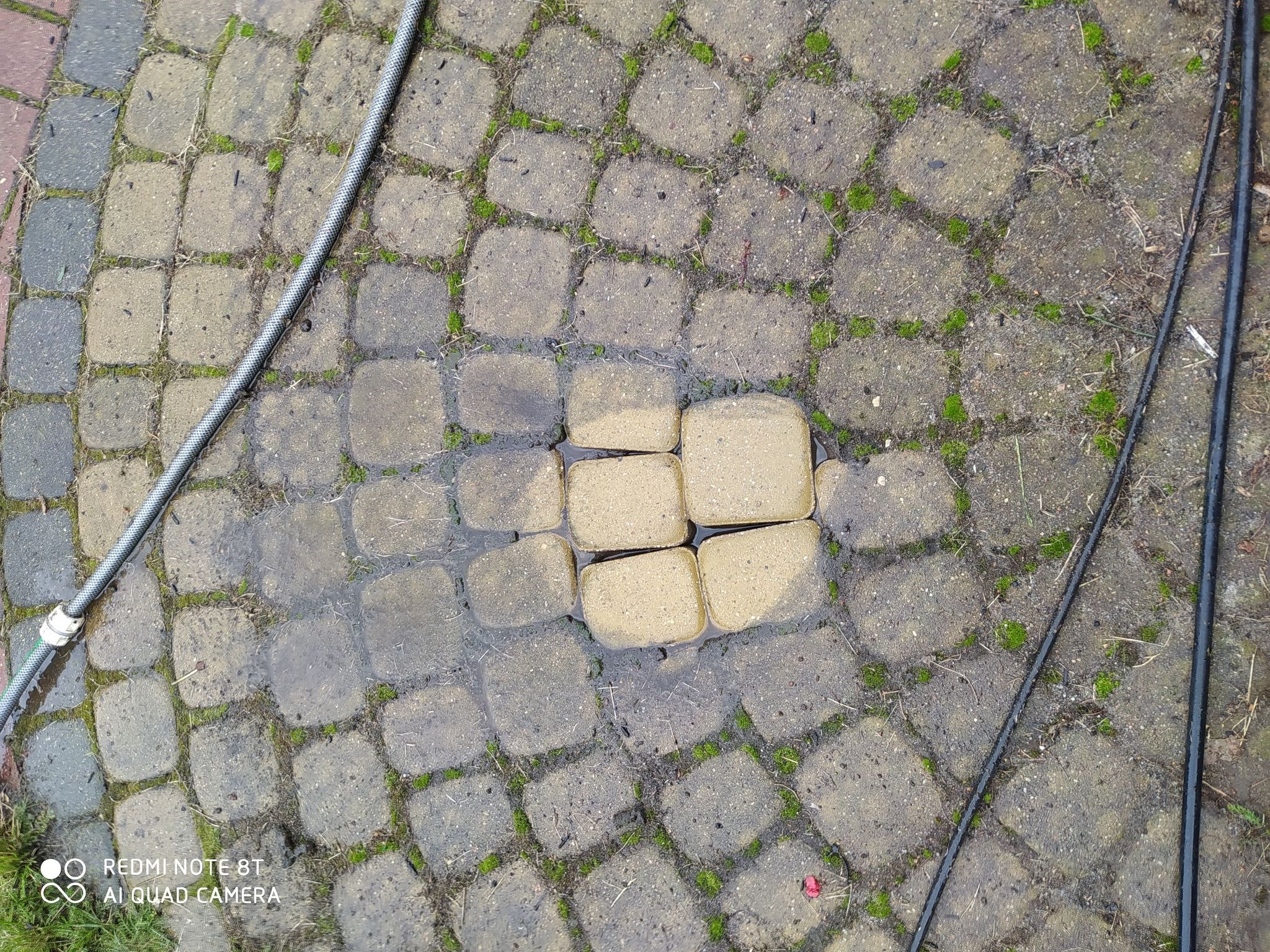 Fragment chodnika z kostki brukowej, z widocznym obszarem świeżo ułożonych, jasnych kostek w centralnej części, otoczonych starszymi, wilgotnymi i porośniętymi mchem kostkami. W tle widoczne węże...