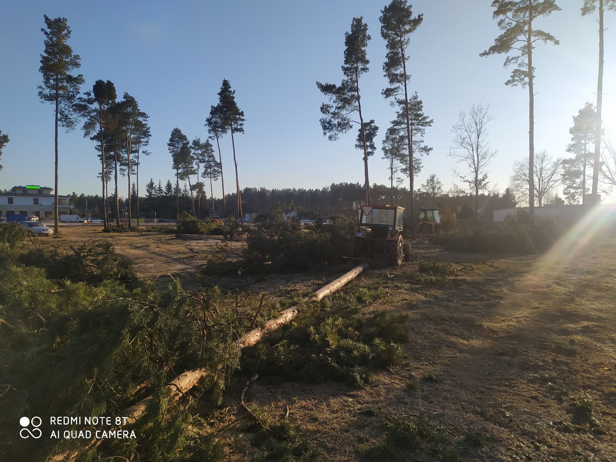 Teren po wycince drzew iglastych, widoczne pnie i gałęzie, traktor i koparka w tle, budynek w oddali.