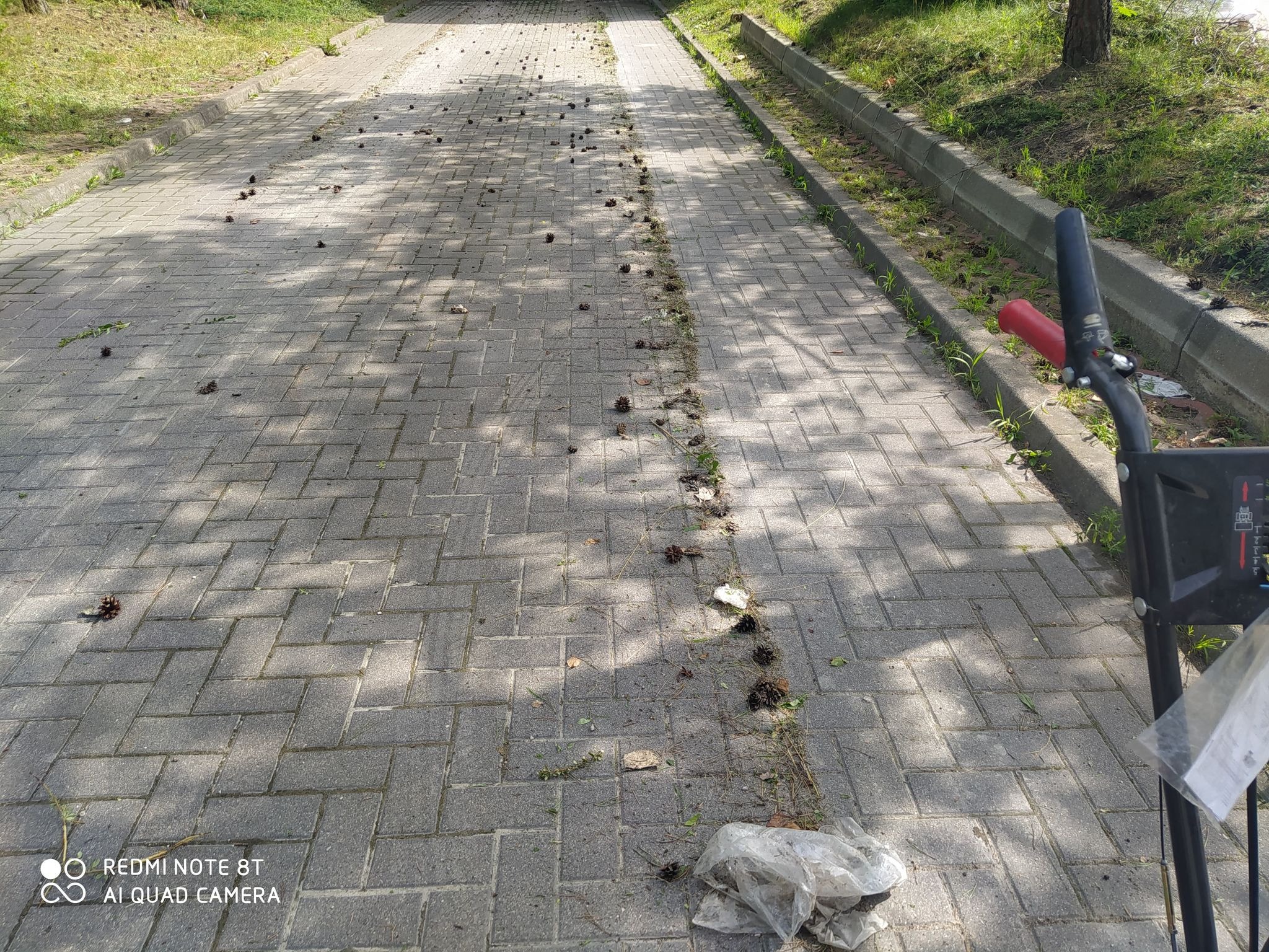 Ulica wyłożona kostką brukową, pokryta igliwiem i szyszkami, z fragmentem urządzenia ogrodniczego widocznym w prawym dolnym rogu. W tle trawnik i drzewa.