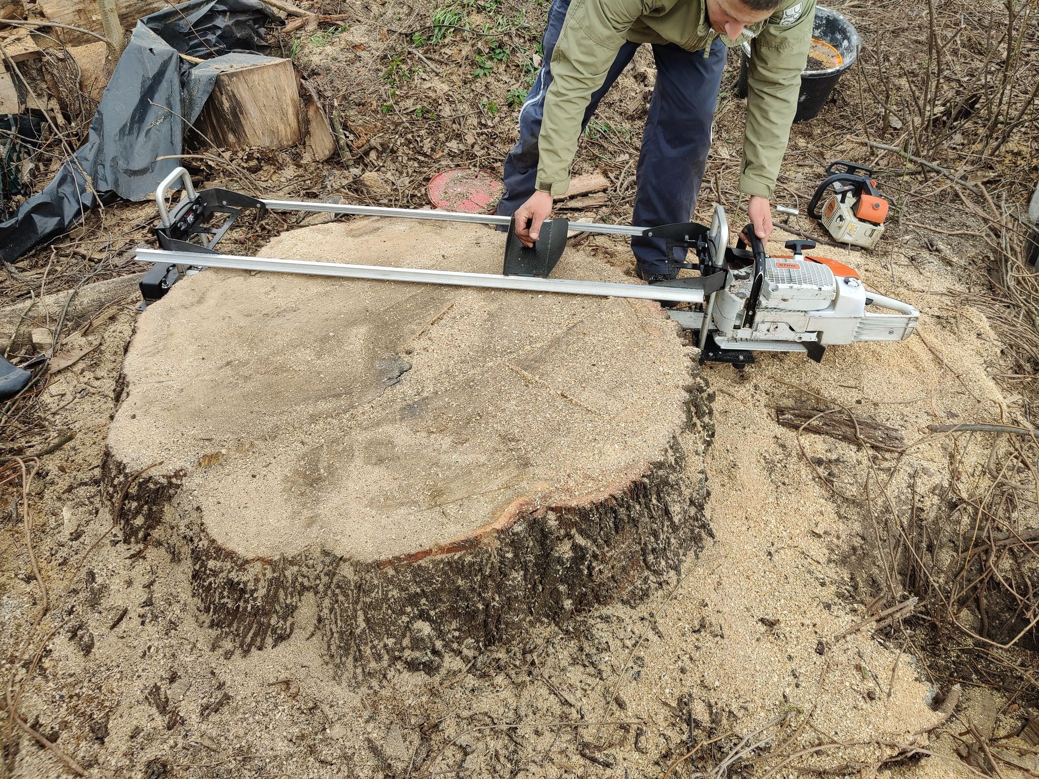 Cięcie pnia drzewa przy użyciu piły łańcuchowej z prowadnicą, widoczne świeże wióry i otoczenie pnia z gałęziami i resztkami drewna.
