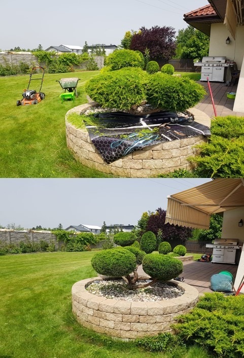 Ogród przed i po formowaniu krzewów w kuliste kształty, z widoczną kosiarką i taczką oraz osłoną na czas prac.