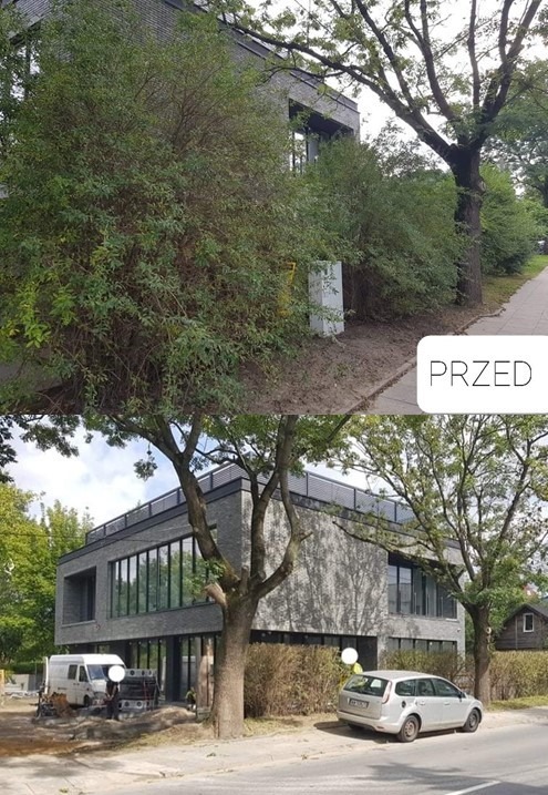 Zdjęcie typu przed i po: zarośnięty budynek z bujną roślinnością, a następnie budynek po usunięciu nadmiaru zieleni, z widocznym samochodem i furgonetką w tle.