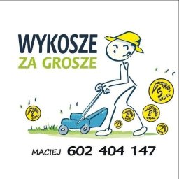 Wykosze za grosze - Koszenie Traw Bielsko-Biała