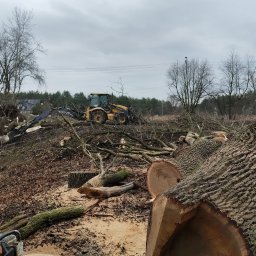 Pielęgnacja ogrodów Trzebinia 1