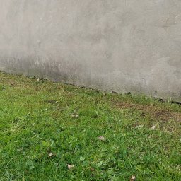 Przycinanie drzew Psary 3