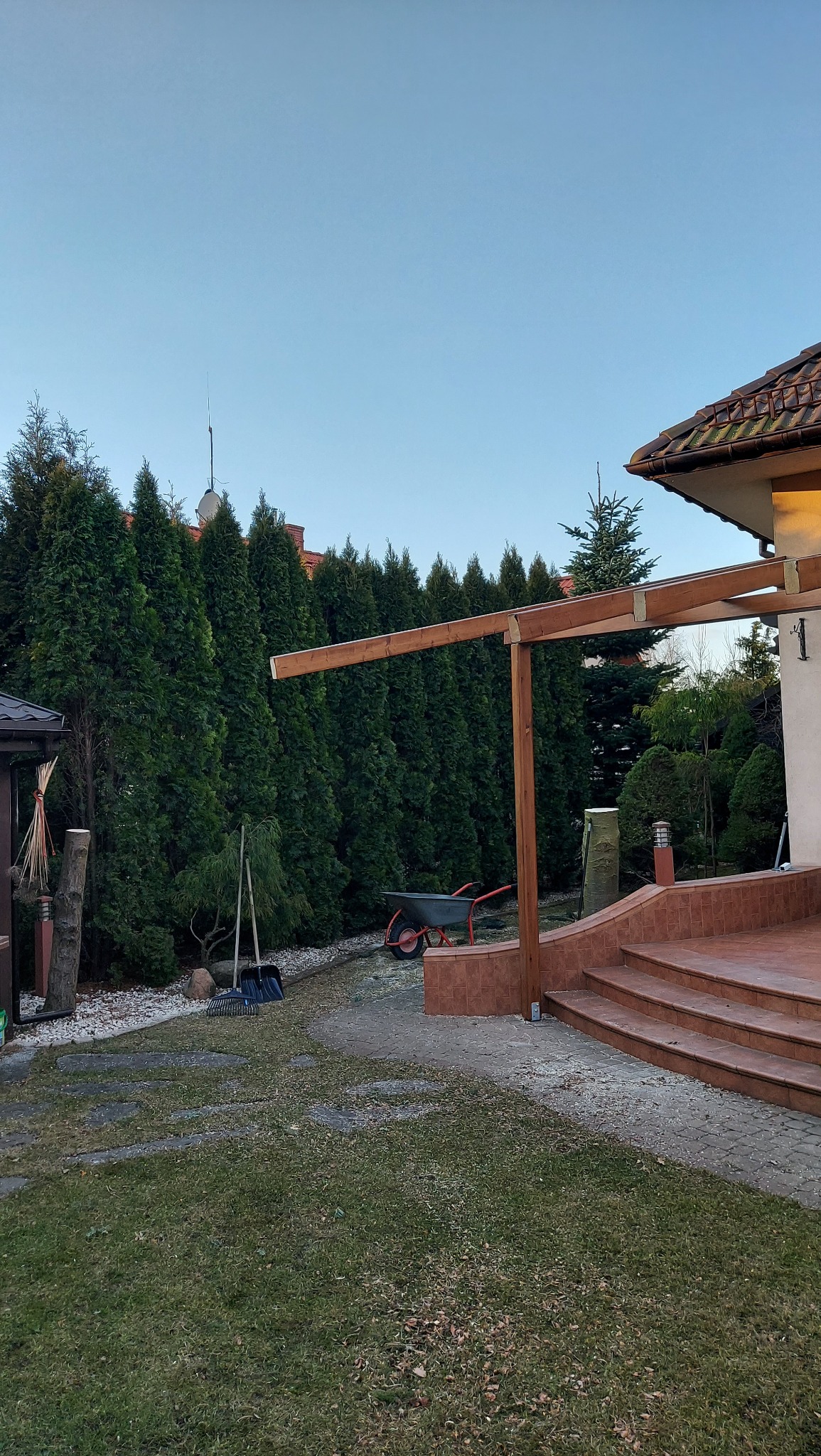 Konstrukcja drewniana zadaszenia tarasu w trakcie budowy, widoczna taczka i rząd wysokich tuj w tle.